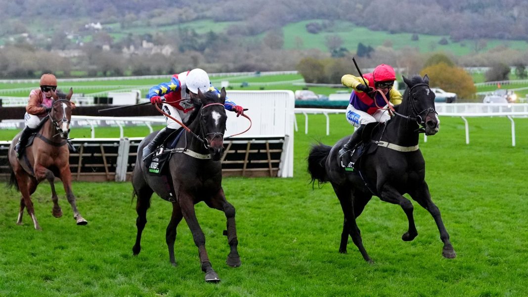 Greatwood Hurdle: Joe Tizzard hails ‘proper performance’ from Alexei at Cheltenham | Racing News