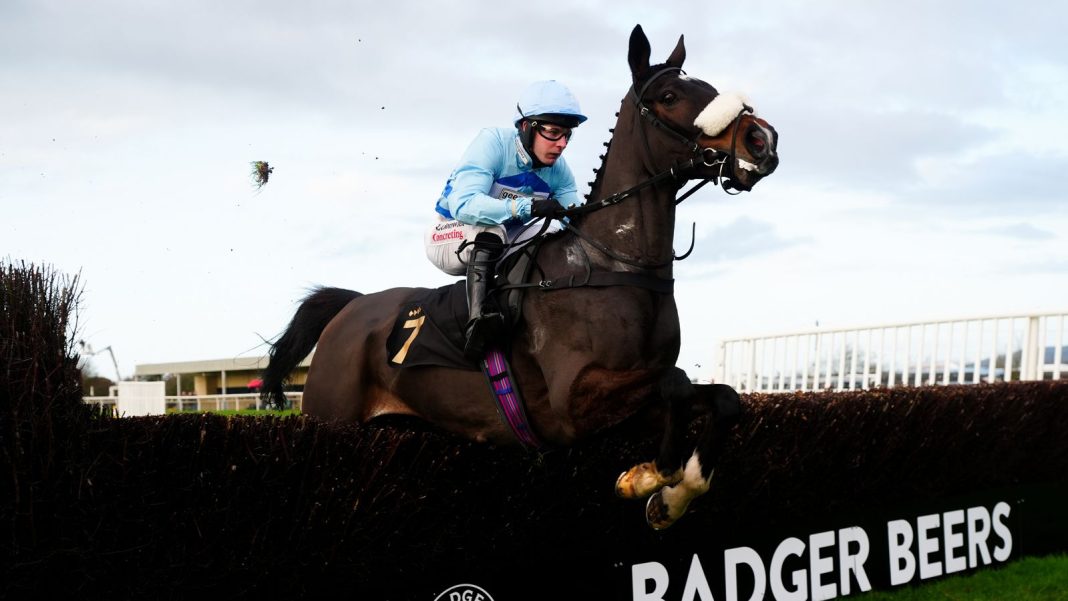 Gustavian makes it third time lucky in the Badger Beers Handicap Chase at Wincanton | Racing News
