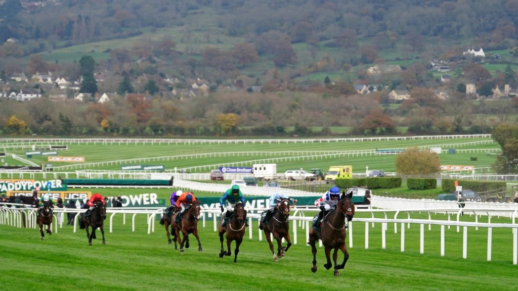 Il Ridoto won last year's Paddy Power Gold Cup