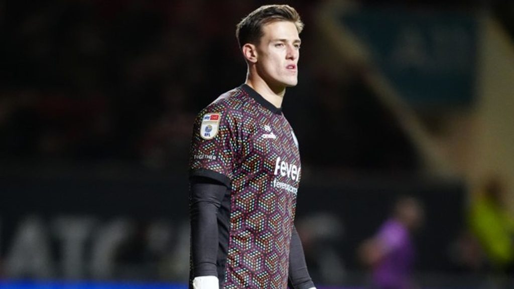 radek vitek bristol city