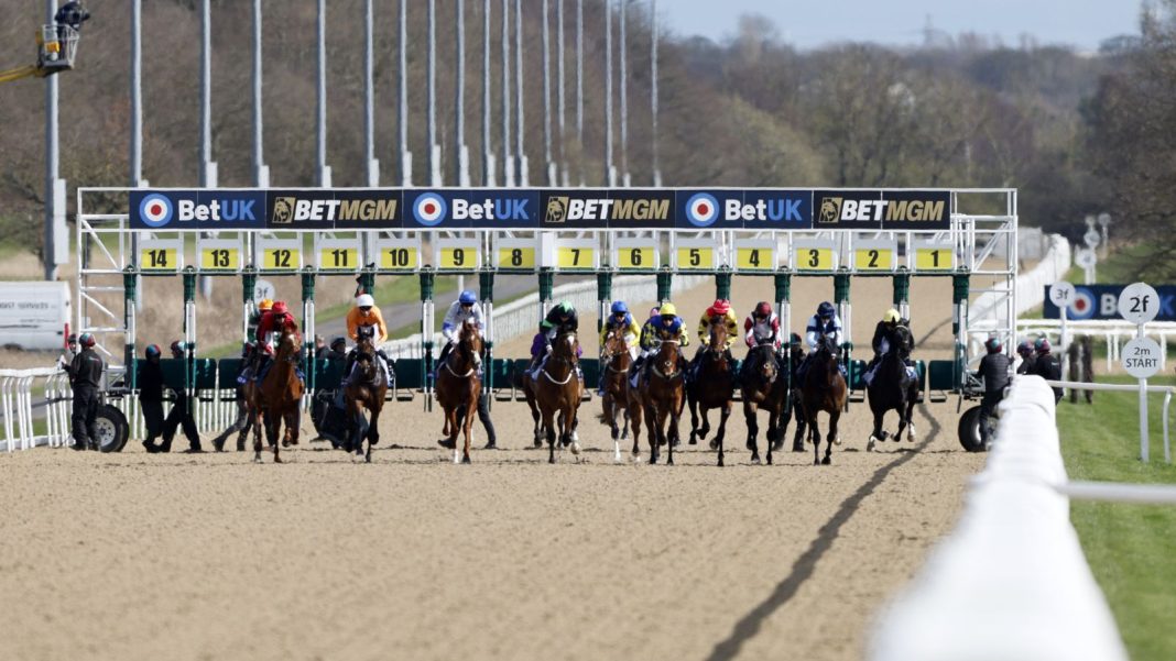 Today on Sky Sports Racing: Exciting debutant Cerelia features at Newcastle among four cards on Tuesday | Racing News