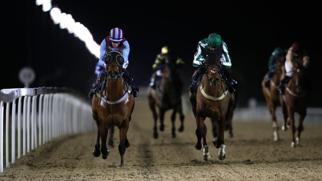Today on Sky Sports Racing: All-Weather action from Newcastle | Racing News