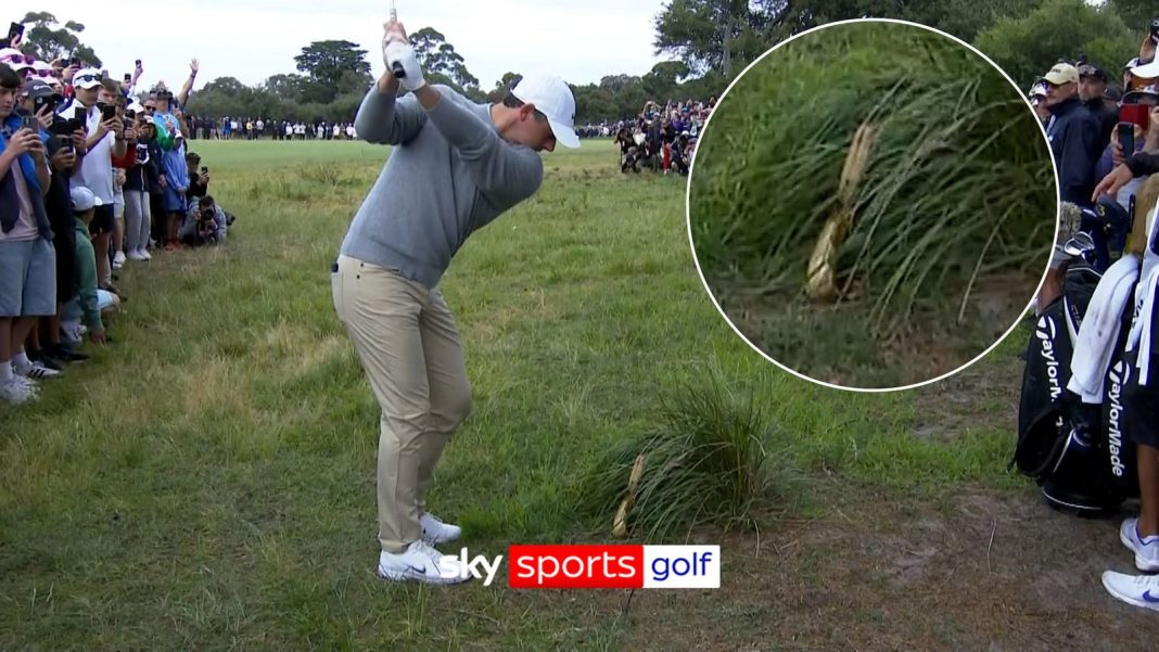Un-peel-ievable! Rogue banana skin leads to McIlroy double-bogey!