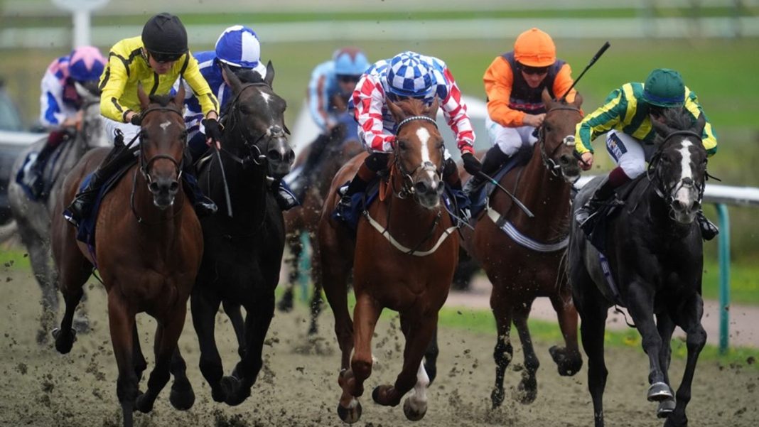 Today on Sky Sports Racing: Lingfield takes centre-stage with seven-race card | Racing News