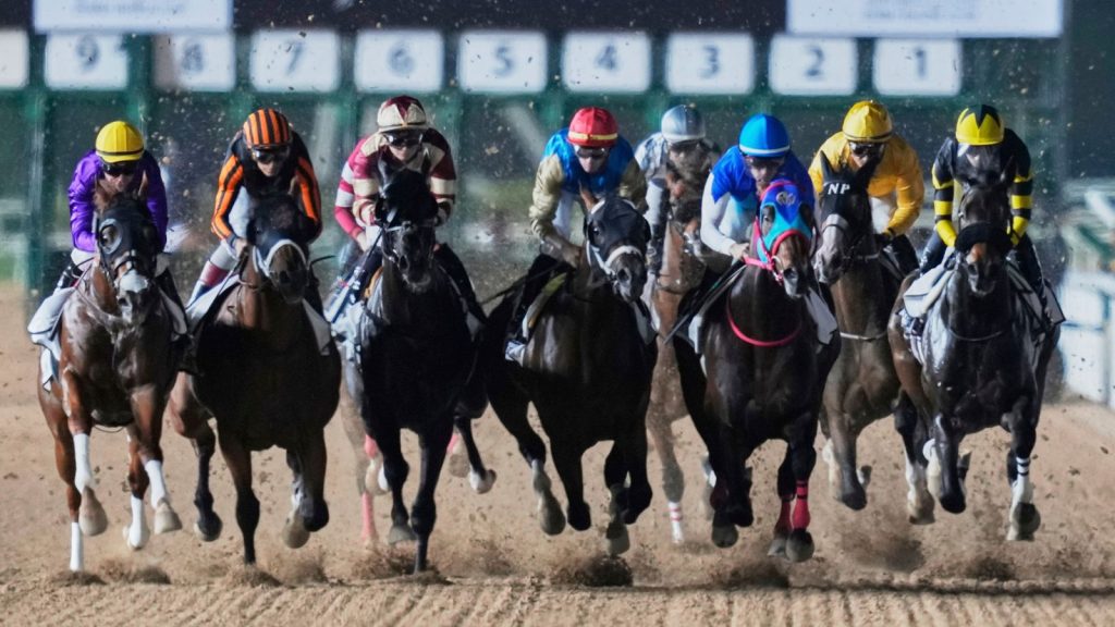 UAE Derby at Meydan Racecourse in Dubai, the United Arab Emirates, Saturday, April 5, 2025. (AP Photo/Altaf Qadri)