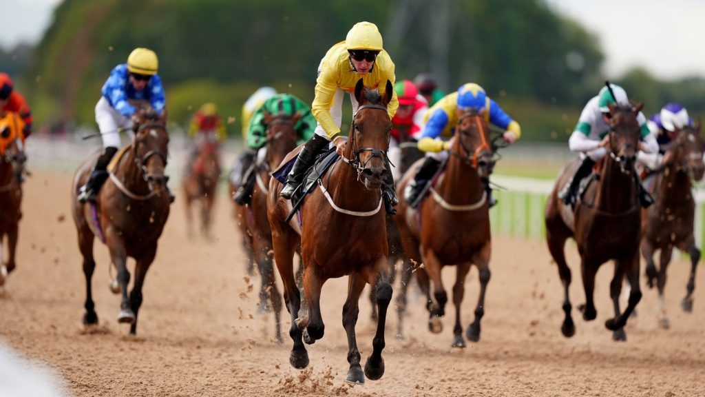 Racing at Southwell