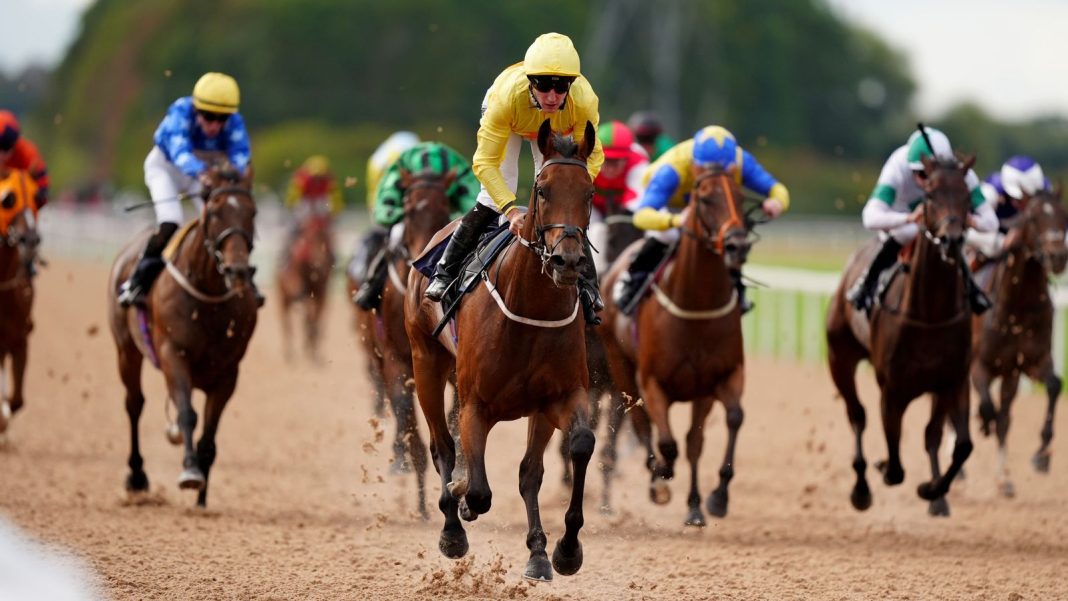 Today on Sky Sports Racing: All-weather action from Southwell | Racing News