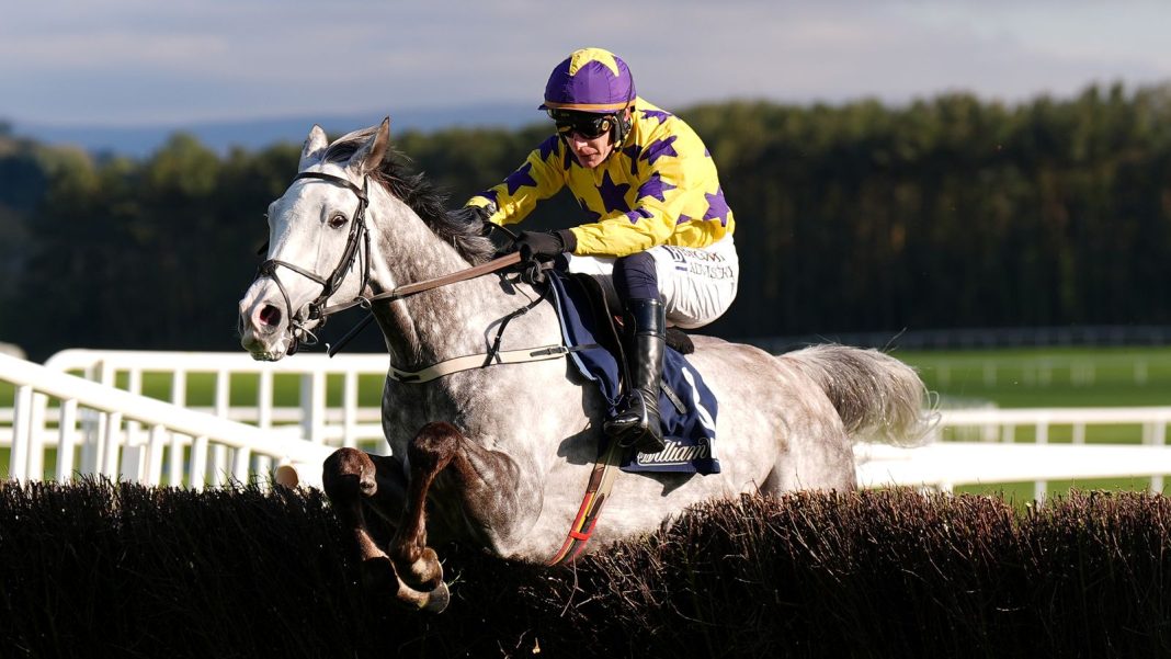Il Etait Temps rules supreme with Punchestown-Cheltenham double | Racing News