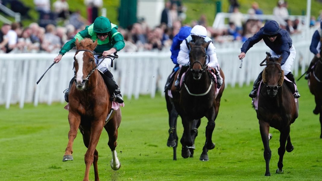 Chester May Festival: Benvenuto Cellini 9/4 for Derby at Epsom after power-packed Chester Vase victory | Racing News