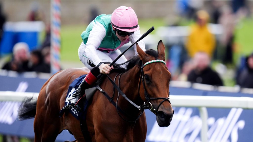Legacy Link strides on at York