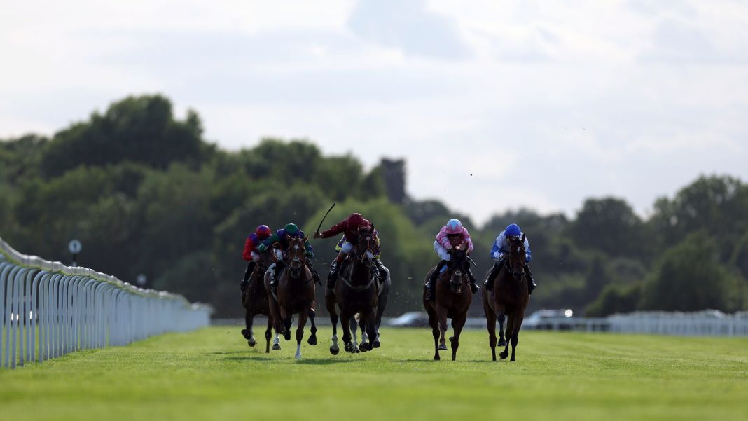 Today on Sky Sports Racing: Southwell, Wolverhampton and Windsor as Desert Cop headlines Sprint Series Qualifier | Racing News